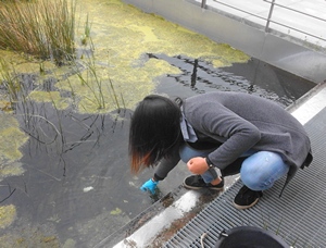 Atelier Eau et Environnement urbain Atelier Eau et Environnement urbain