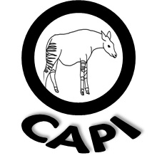 OCAPI : Archives interventions publiques