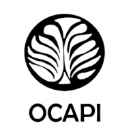 Séminaire en ligne OCAPI le 6 avril 2021