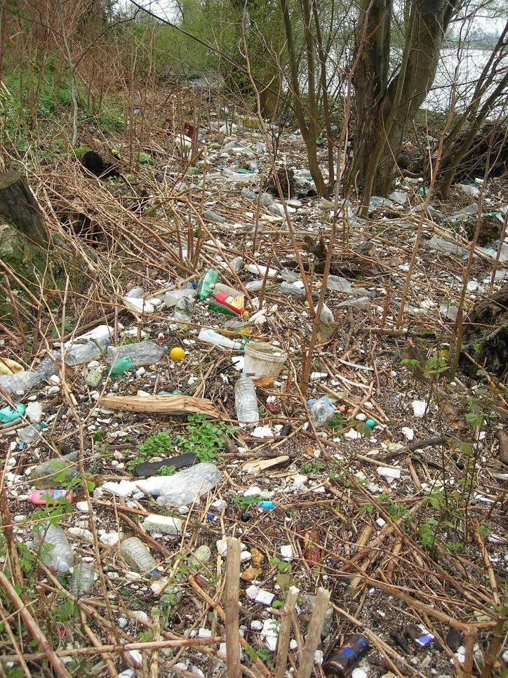 Pollution des eaux : déchets plastiques