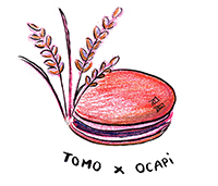 Tomo et OCAPI : 14 mai 2023 Tomo et OCAPI : 14 mai 2023
