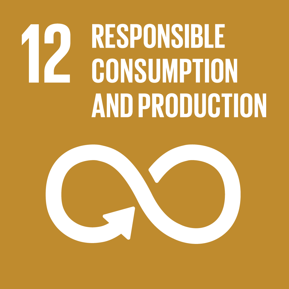 UN SDG 12 — Responsible Consumption and Production