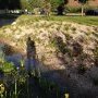 Jardin de pluie, Batiment Coriolis, Ecole des Ponts ParisTech