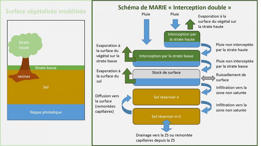 Action R3.1 : Modélisation de l'évapotranspiration à différentes échelles spatiales