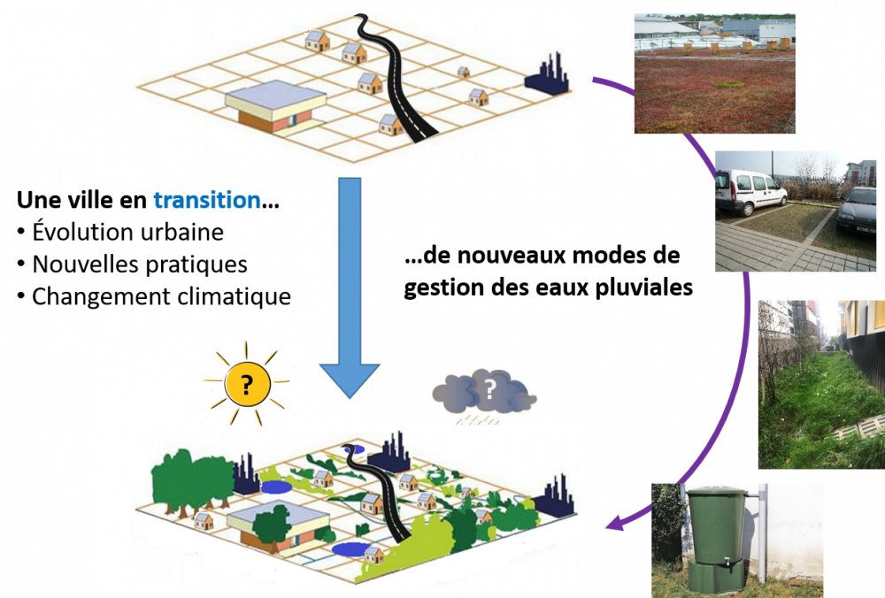 Action R4.2 : Effets d'une diffusion des modes de gestion décentralisée des eaux pluviales sur l'hydro-écosystème urbain