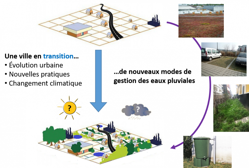 Action R4.2 : Effets d'une diffusion des modes de gestion décentralisée des eaux pluviales sur l'hydro-écosystème urbain Action R4.2 : Effets d'une diffusion des modes de gestion décentralisée des eaux pluviales sur l'hydro-écosystème urbain