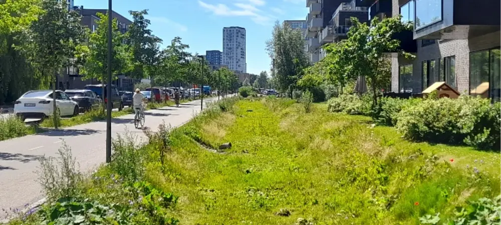 Axe R2.1 : Hydrologie de la gestion à la source des eaux pluviales – de l'ouvrage à la ville