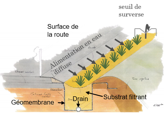 Action R3.5 : Analyse des dynamiques temporelles au niveau d'un ouvrage de biorétention