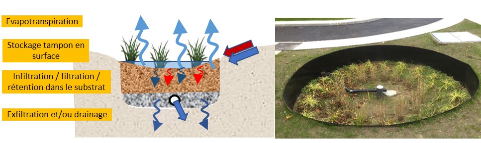 Action R3.2 : Performance hydrologique des jardins de pluie : mesures en conditions contrôlées et modélisation pour une diversité de contextes